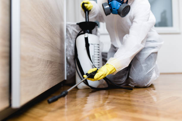 Best Wasp Removal Services  in St Albans, WV