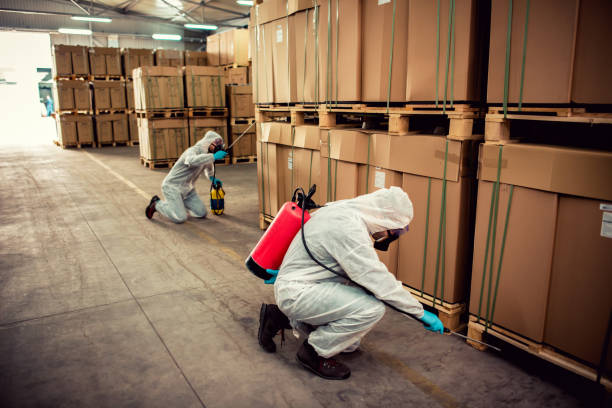 Best Residential Pest Control  in St Albans, WV