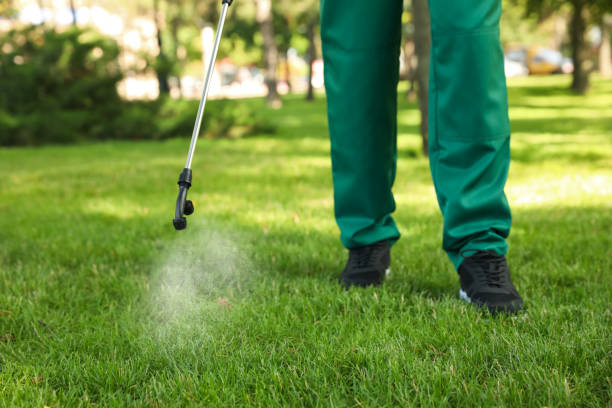 Best Pest Inspection Near Me  in St Albans, WV