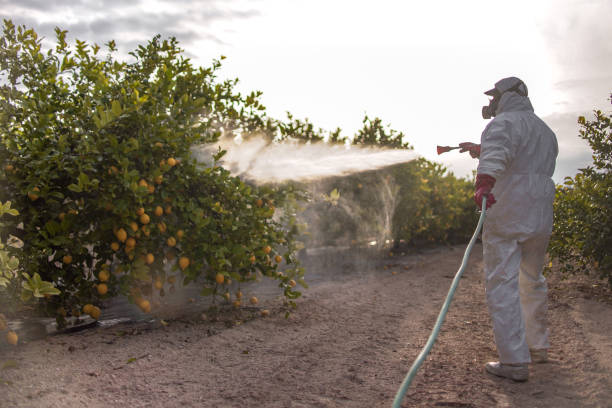 Best Pest Control Treatment  in St Albans, WV
