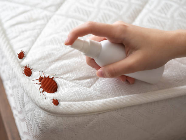  St Albans, WV Pest Control Pros