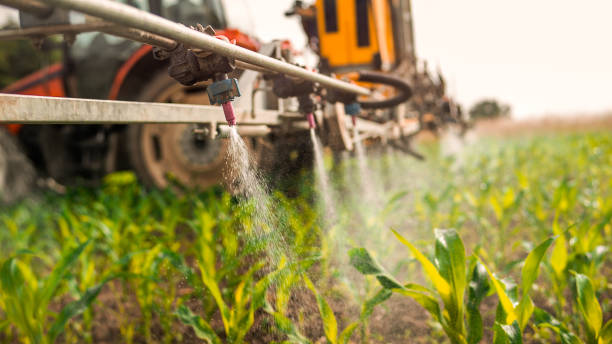 Best Ant Control Services  in St Albans, WV