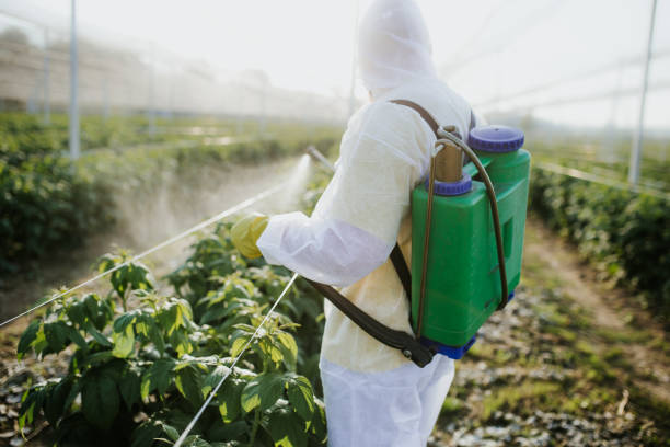 Best Pest Prevention Services  in St Albans, WV